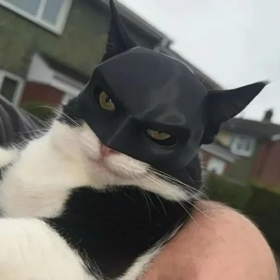 Cat Batman Mask  Unleash Your Cat's Inner Hero!